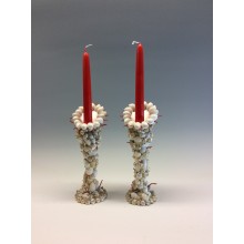 The sirens’ sea candlestick 